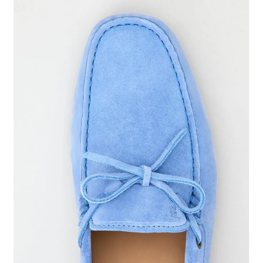 Gommino Driving Shoes in Suede