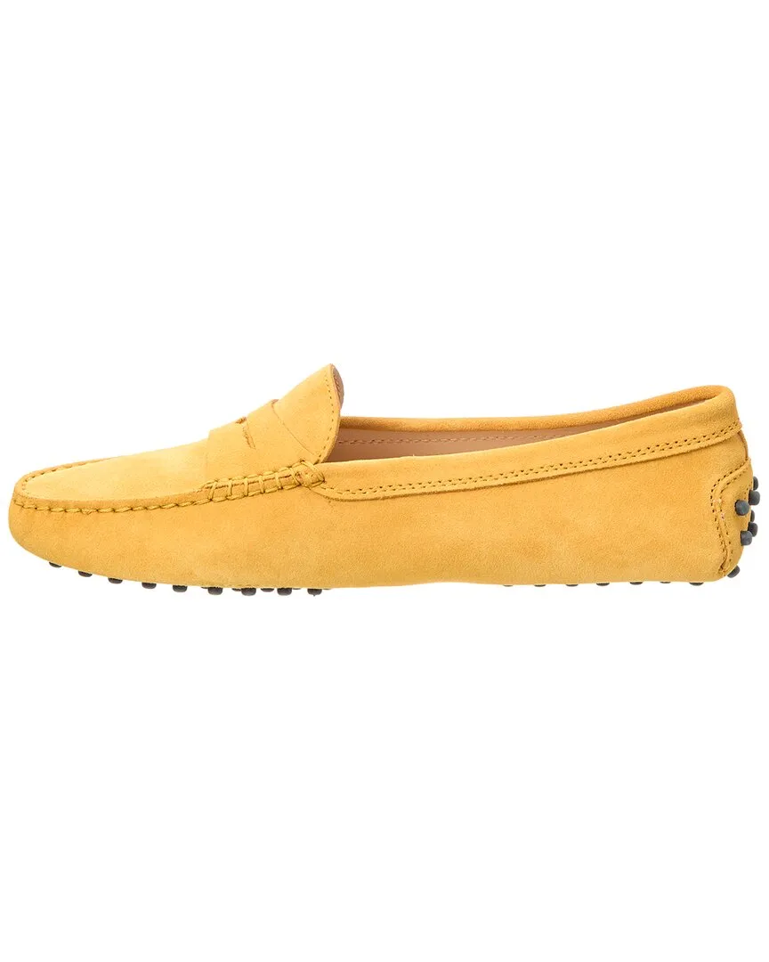 TODs Gommino Suede Loafer