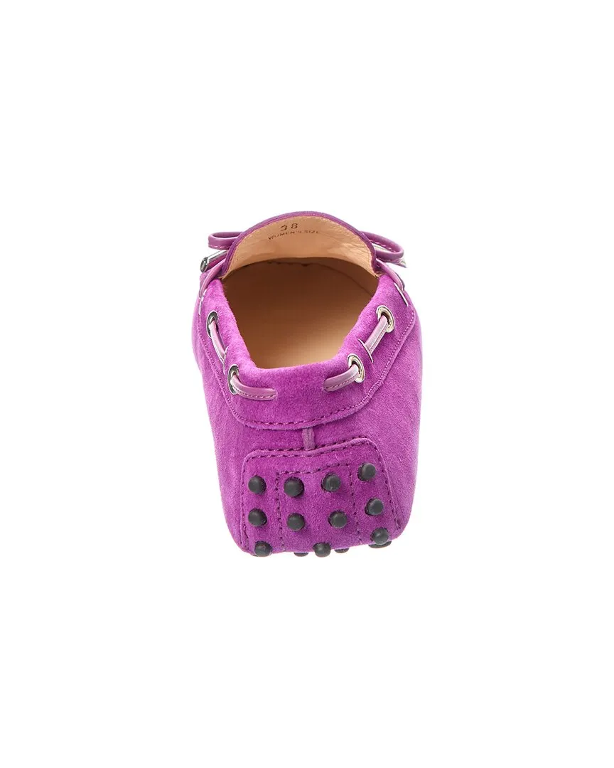 TODs Gommino Suede Loafer