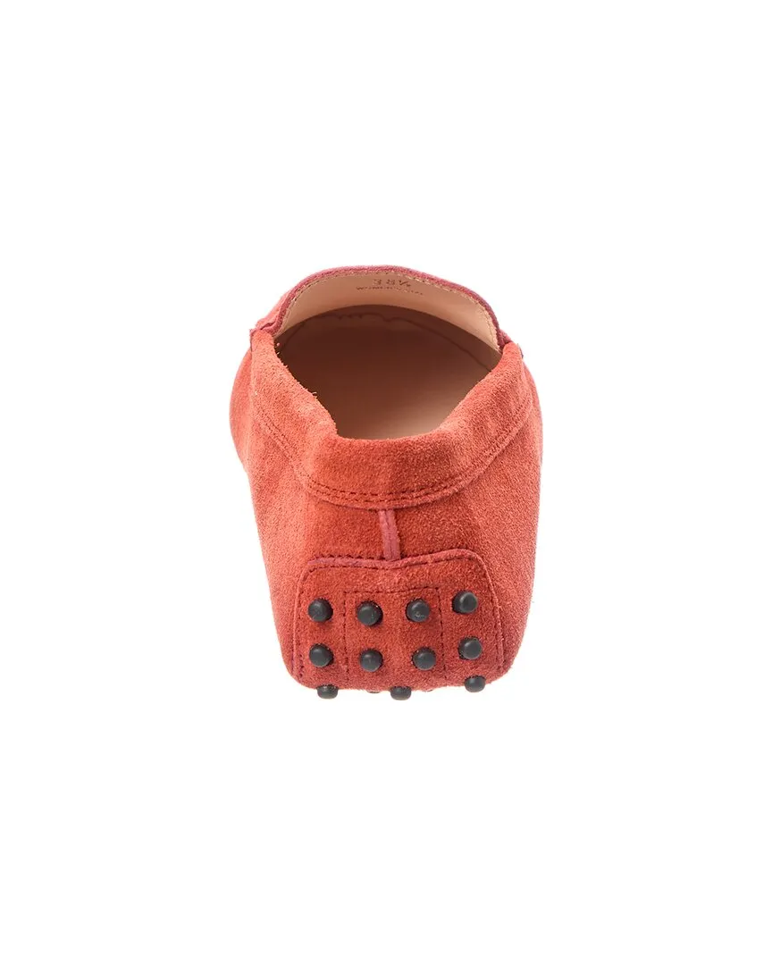 TODs Gommino Suede Loafer